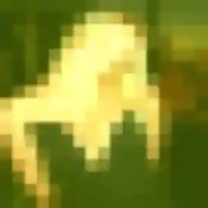 Découvre Sara, 35 ans à Tarare gratuitement