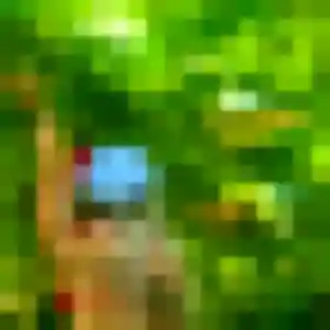 Lily, fille de 22 ans propose plan cul à Templeuve-en-Pévèle