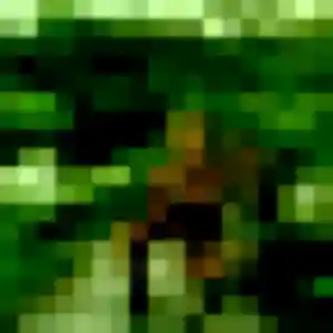 Jolie Caroline, 45 ans à Tergnier - voir sa photo