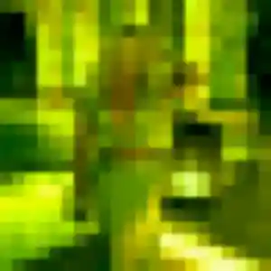 Isabelle de Thaon-les-Vosges, 29 ans - plan cul sans lendemain