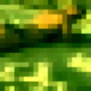 Photo exclusive de Dana, 21 ans à Thiais - rencontre sans lendemain