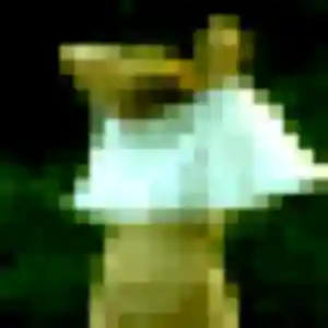 Paloma, 40 ans, connectée à Thiers pour un plan cul