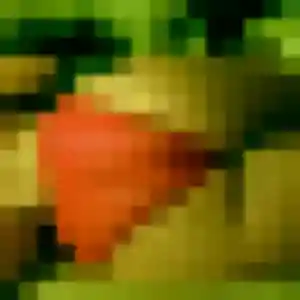 plan cul à Thouaré-sur-Loire : profil de Maud, 44 ans - inscription gratuite