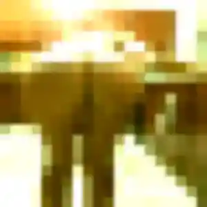 Irina, 27 ans, dispo pour plan cul à Torcy