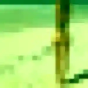 Nelly (34 ans) à Toul cherche un plan cul rapidement