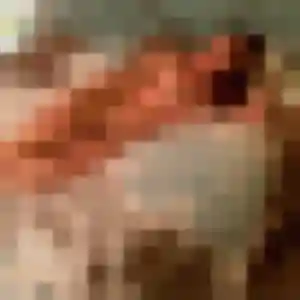 Marie-Therese, 29 ans, dispo pour plan cul à Trégunc