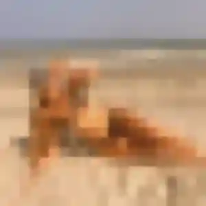 Jolie Ariane, 40 ans à Trets - voir sa photo