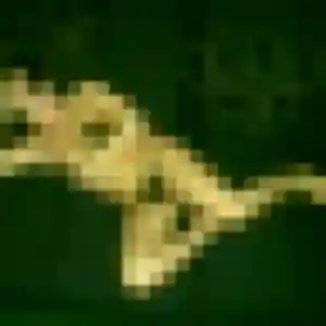 Photo exclusive de Marie-Pierre, 41 ans à Trets - rencontre sans lendemain