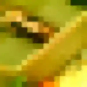 Contacte Ophelie, 35 ans à Trets en privé