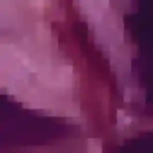 Belle Anais, 24 ans à Unieux - découvrir son profil