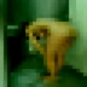 Photo exclusive de Valerie, 28 ans à Valence - rencontre sans lendemain