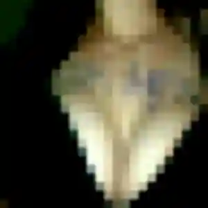 plan cul à Valence : photo de Chiara, 25 ans - accès libre