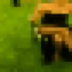 Jolie Melodie, 30 ans à Valence - la contacter