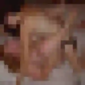 Charmante Laurence, 34 ans à Vaujours - la contacter