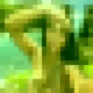 plan cul à Vaulx-en-Velin : profil de Ambre, 32 ans - accès libre