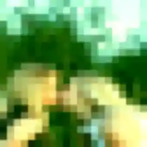 Germaine, 21 ans, cherche un plan cul à Vaulx-en-Velin