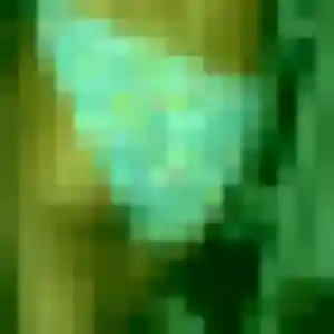 Thais, femme de 22 ans propose plan cul à Veauche