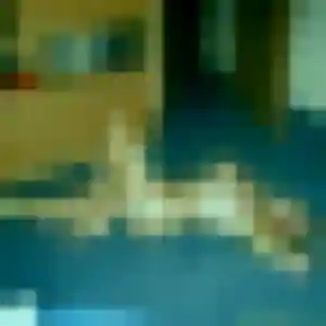 Sara de Vence, 36 ans - plan cul sans lendemain