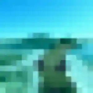 Photo de Idalina à Vendenheim (22 ans) - plan cul sans inscription