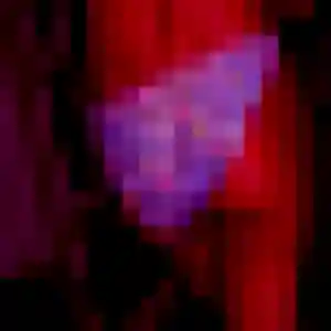 Photo privée de Dina, 39 ans à Vendôme - plan discret