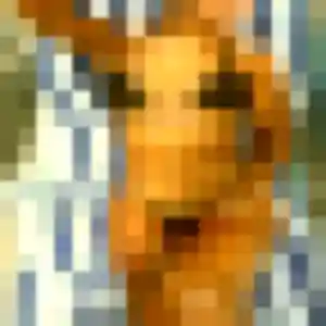 Photo privée de Laure, 34 ans à Verneuil d'Avre et d'Iton - rencontre sans lendemain