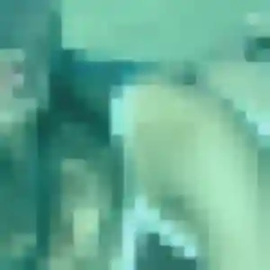 Photo de Ingrid à Vernouillet (31 ans) - plan cul gratuit