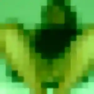 Nathalie, femme de 26 ans propose plan cul à Viarmes