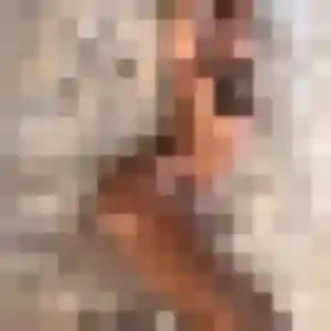 Yvette, femme de 28 ans cherche plan cul à Ville-d'Avray