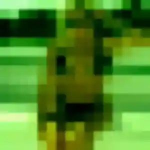 Jolie Yael, 23 ans à Villebon-sur-Yvette - la contacter