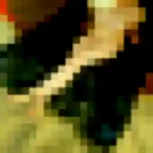 Zoe, 36 ans, disponible à Villemur-sur-Tarn pour une rencontre coquine