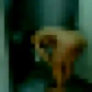 Orane (36 ans) à Villeneuve-lès-Maguelone propose une rencontre rapidement