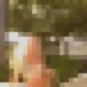 Sexy Ursula, 35 ans à Villeneuve-lès-Maguelone - découvrir son profil