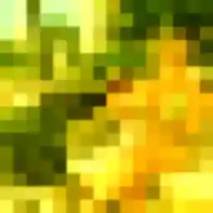 Brune, fille de 34 ans cherche plan cul à Villeneuve-Loubet