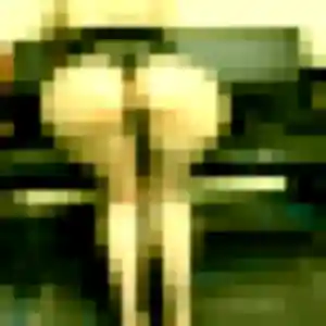 Photo perso de Wendy, 27 ans à Villeneuve-sur-Lot - rencontre coquine