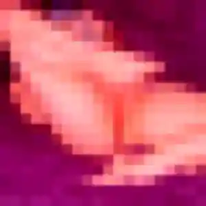 Photo de Isaure à Villeneuve-Tolosane (35 ans) - plan cul anonyme