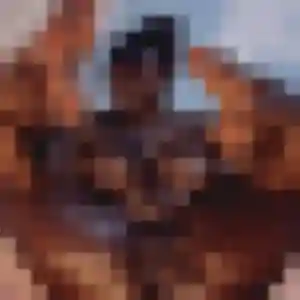 plan cul à Villepinte : photo de Charlotte, 41 ans - sans engagement