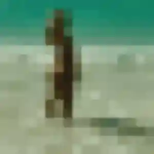 Anna (33 ans) à Villeurbanne attend un plan cul rapidement