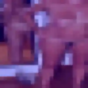 Photo perso de Khadija, 20 ans à Vindry-sur-Turdine - rencontre coquine