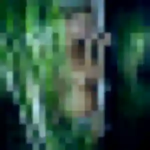 Luna, fille de 19 ans veut plan cul à Viroflay