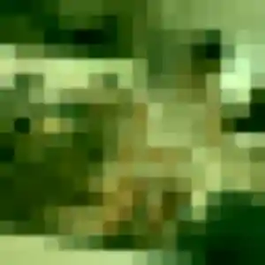 Sexy Capucine, 35 ans à Viry - la contacter