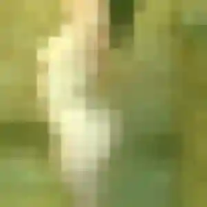 Photo privée de Urielle, 31 ans à Voiron - plan discret