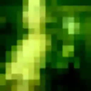 Jolie Germaine, 32 ans à Voisins-le-Bretonneux - découvrir son profil