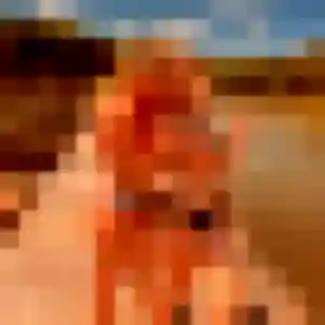 Belle Ornella, 36 ans à Voisins-le-Bretonneux - la contacter