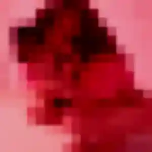 Colombine, 41 ans, connectée à Wambrechies pour une rencontre coquine