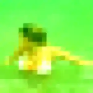 Muriel, 32 ans, connectée à Wasselonne pour un plan cul