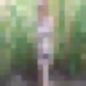 Photo perso de Nadine, 34 ans à Wattignies - plan discret