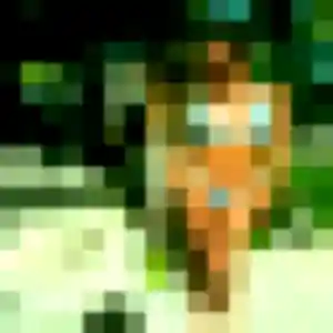 Debora, 22 ans, connectée à Wattrelos pour une rencontre coquine