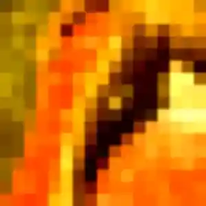 Photo privée de Romina, 32 ans à Wattrelos - rencontre coquine