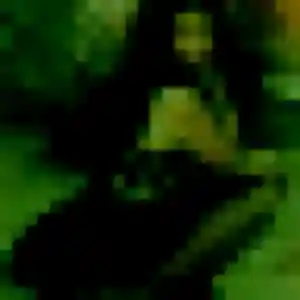 Photo de Noura à Yerres (44 ans) - plan cul sans inscription