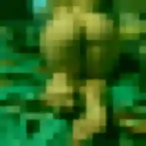 plan cul à Yssingeaux : photo de Charline, 36 ans - sans engagement